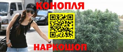 spice Камень-на-Оби