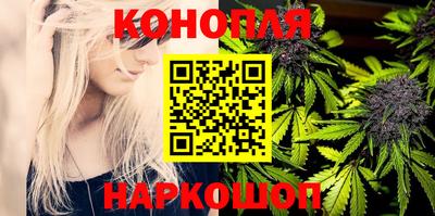 стафф Ижевск