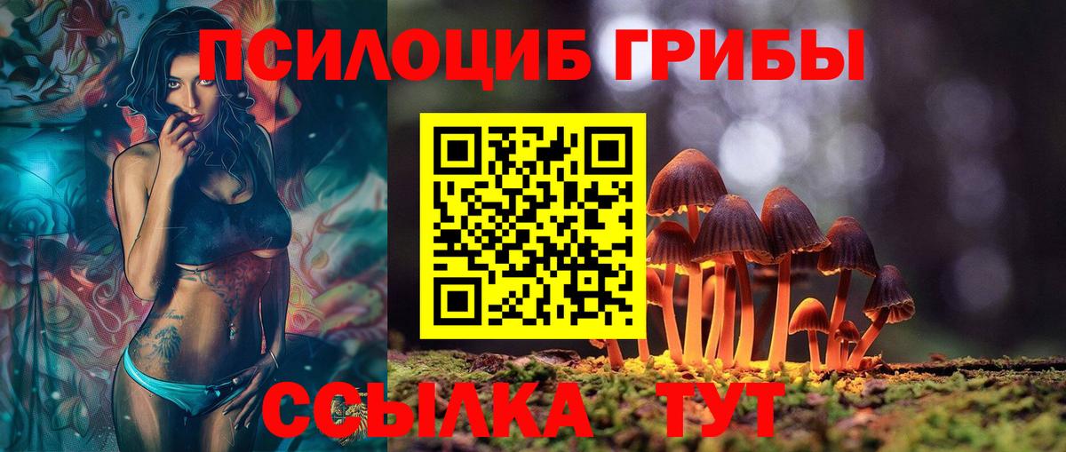 Псилоцибиновые грибы GOLDEN TEACHER Лосино-Петровский